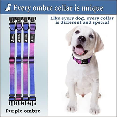 Fuzzy Friends - Нашийник за кучета цвят лилаво омбре настроението с Допълнителен комплект каишки в тон. Елегантен,