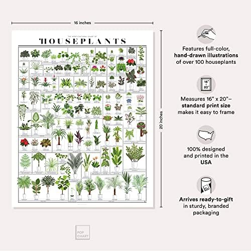 Pop Chart | Схема на стайни растения за озеленяване | 16 x 20 Green Wall Art | Плакат ботаническата изкуство с участието на повече от 100 растения | Декор на стените в землистом стил