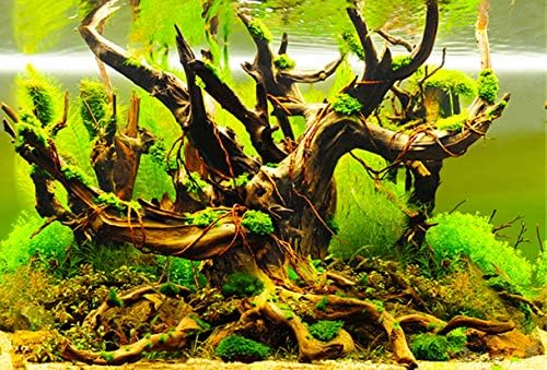 Амалонг Нов Фон От билки, камъни, дървета за Декорация на фона на Аквариума (40,15 × 19,68 инча