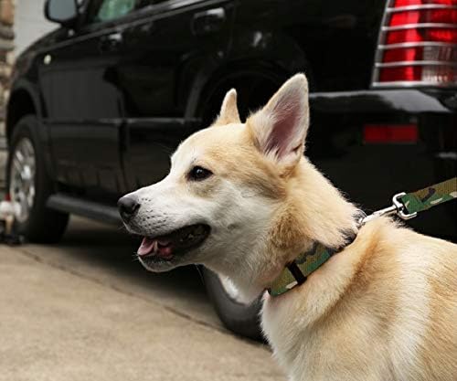 Нашийник за кучета Moose Пет Носете Регулируеми маншети за домашни любимци с дизайн, производство на САЩ, ширина