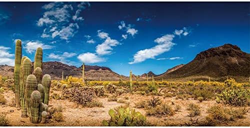 Leyiyi 36x14 инча Национален парк Джошуа Три Фон за Снимки Мексико Кактус има предимно сухо Безплодна Пустиня