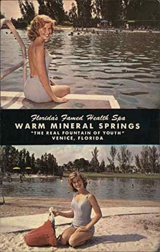 Топлите минерални извори на Венеция, Флорида, Флорида Оригиналната реколта картичка